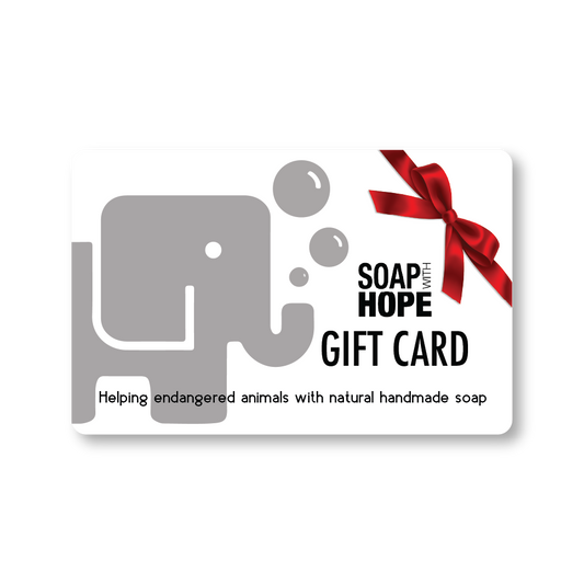 Soap with Hope Gift Card