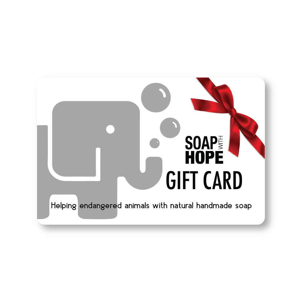 Soap with Hope Gift Card